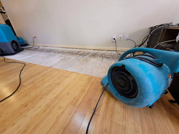 Professional Sewage Cleanup technician working in Wedgefield, SC